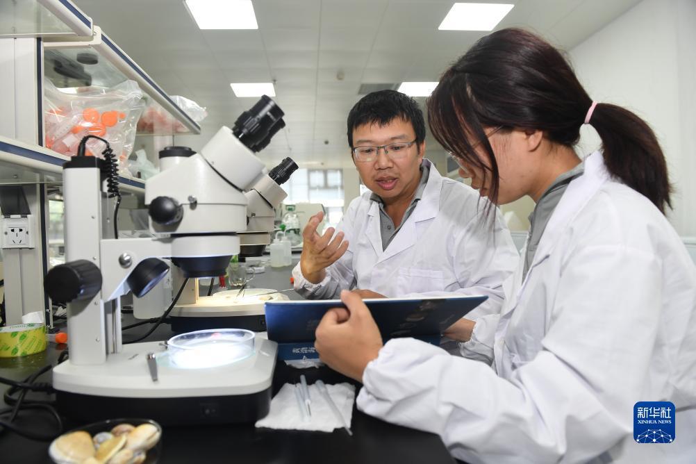 摆脱游戏手机官网